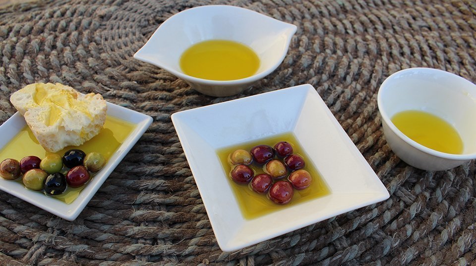 Terra d'oliveres, gastrononia garriguenca