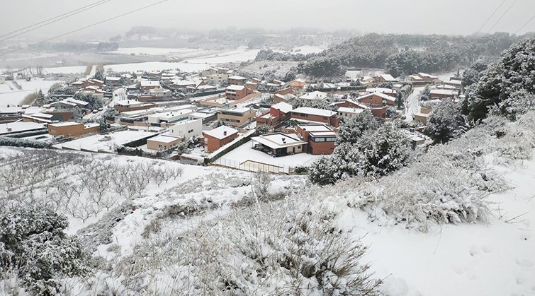 Web  Imatge d'Alpicat sota la neu