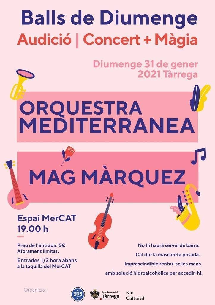 Cartell de l'activitat