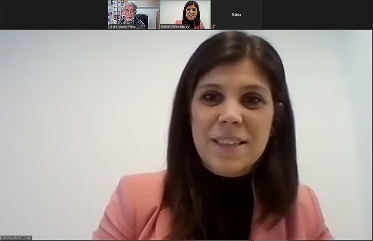 Marta Vilalta Videoconferència