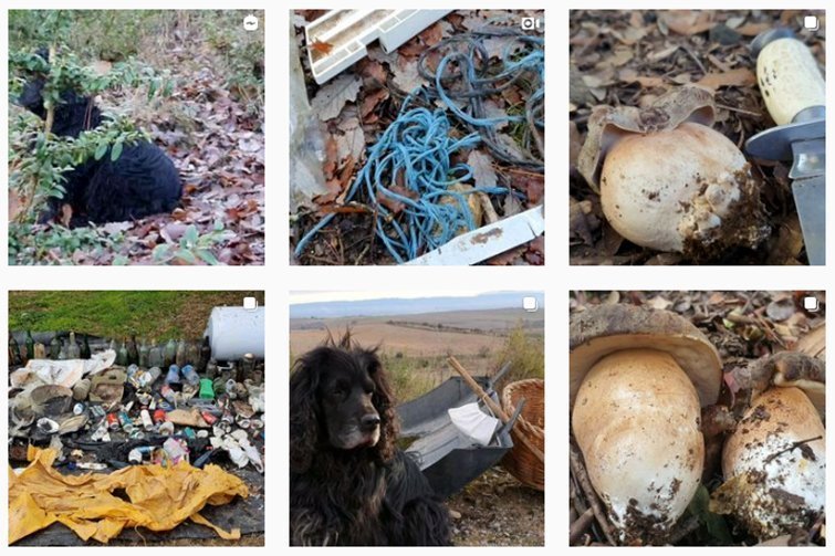 Las dos caras del bosque, Instagram @Emilimasip