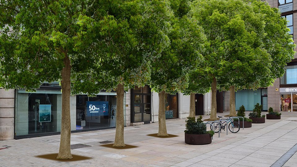 Arbres plaça Sant Joan