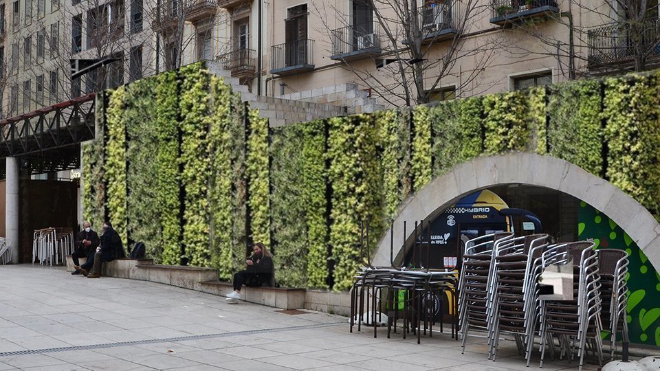 La Plaça Sant Joan amb el nou arbrat