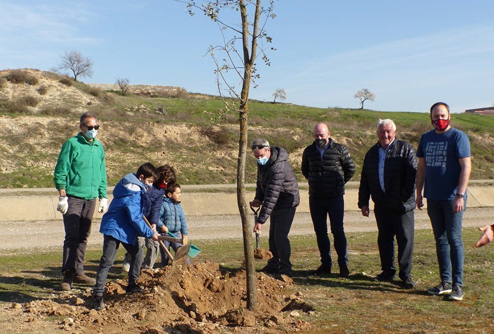 Plantada d'arbres a Castellserà amb Canal Viu  @CanalViu