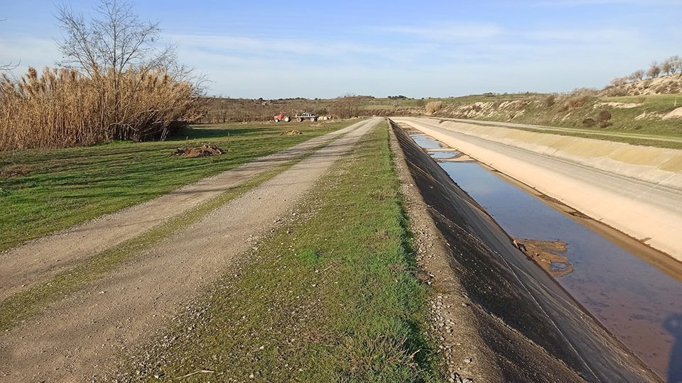 Plantada d'arbres a Castellserà amb Canal Viu  @CanalViu 2