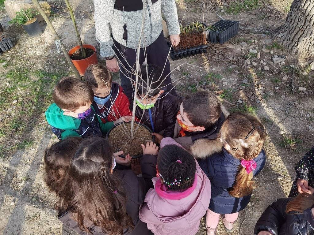 alumnes plantant Juneda