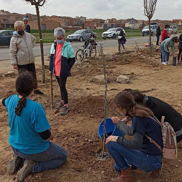 Plantada d'arbres a l'antiga casella dels canalés del Canal d'Urgell de Torregrossa, @FemLlavor 2