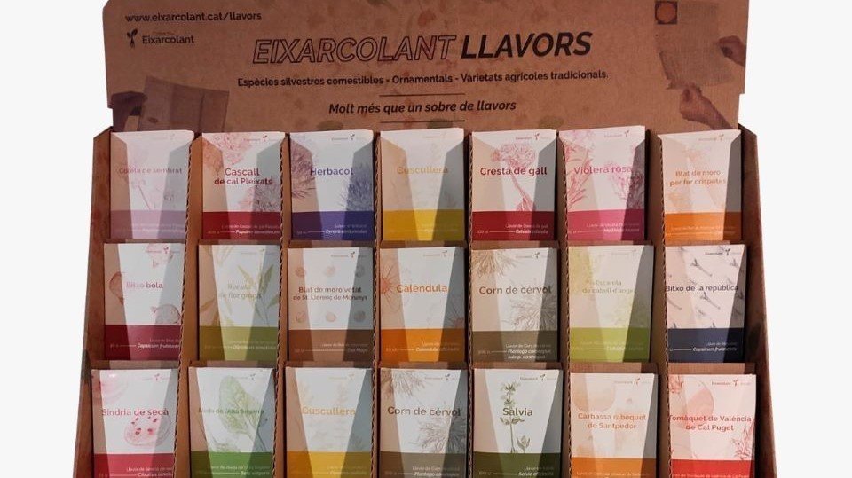 Espècies silvestres comestibles @Eixarcolant