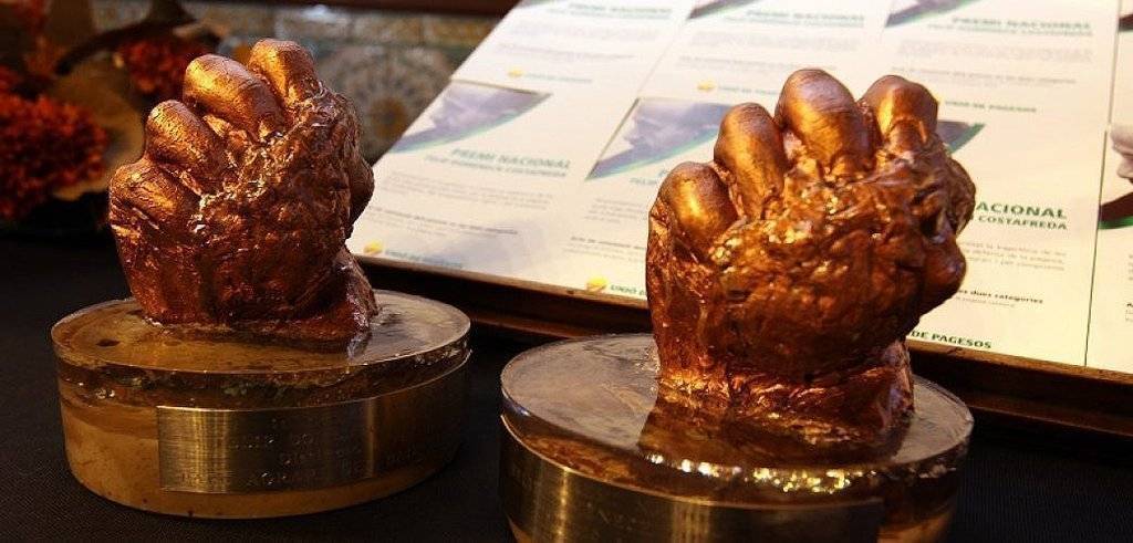 Guardó dels Premis Nacionals Felip Domènech