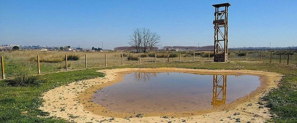 La bassa d’amfibis en els aiguamolls de Rufea @Paeria