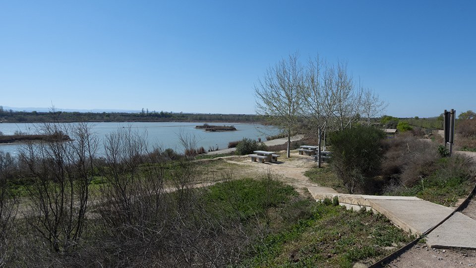 Estany Ivars i Vila-sana recuperació 2020 2