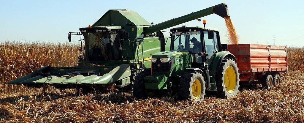 Campanya del panís a Ponent  @territoriscat