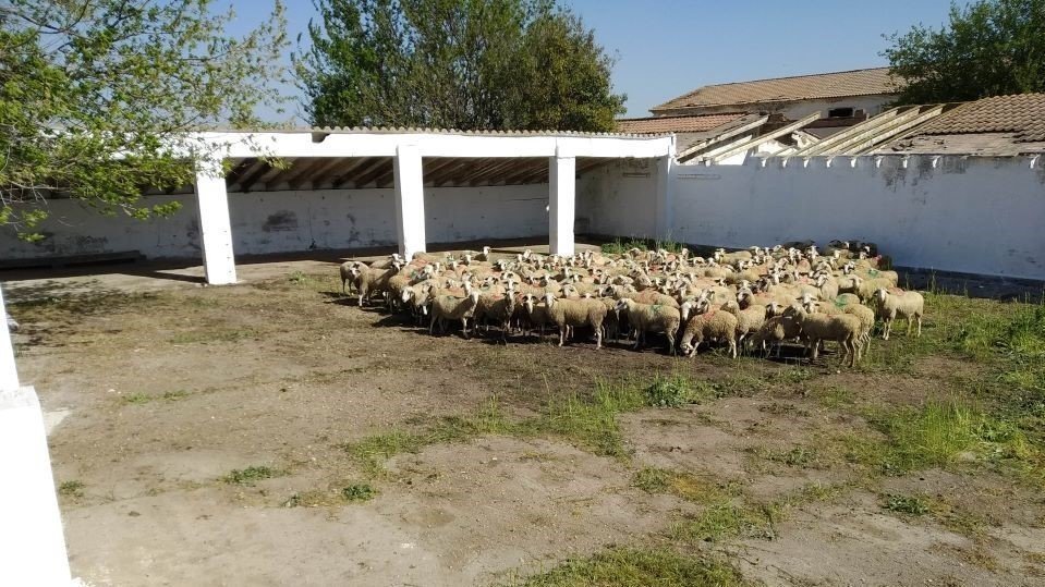 També s'ha habilitat una de les pletes de l'antiga granja militar de Rufea i una caseta per a l'ús del pastor - Foto: Cedida per la Paeria de Lleida