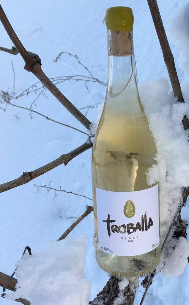 Troballa blanca neu (1)