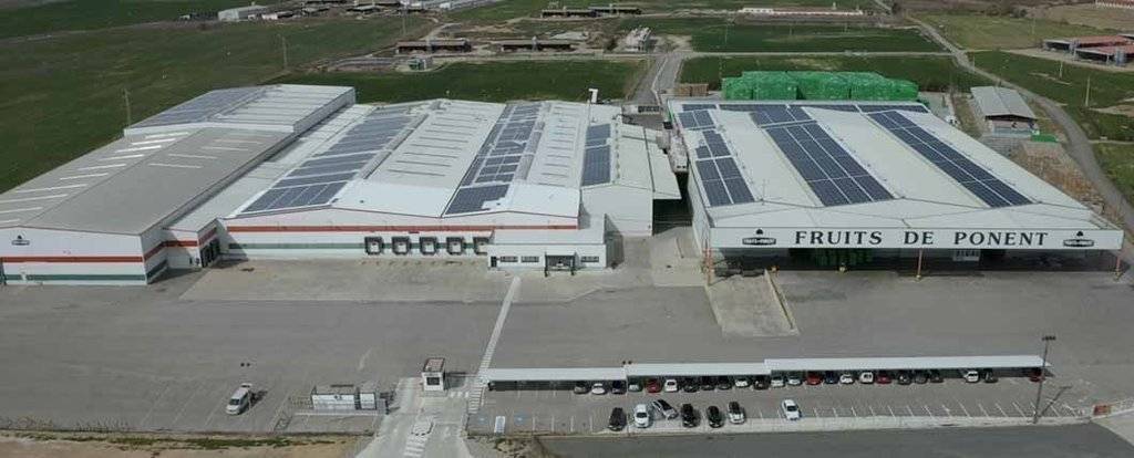 Instal·lacions de la cooperativa Fruits de Ponent portada