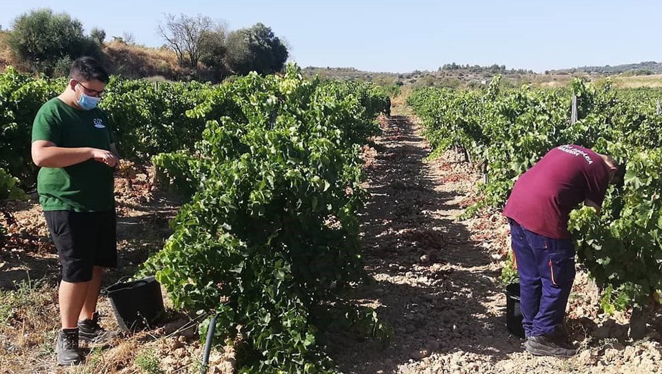 Les Escoles Agràries obren el període de preinscripcions 2