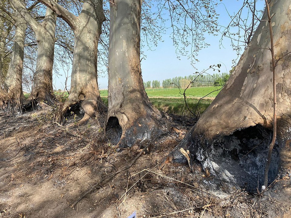 Iniciatives de Canal Viu @CanalViu 1