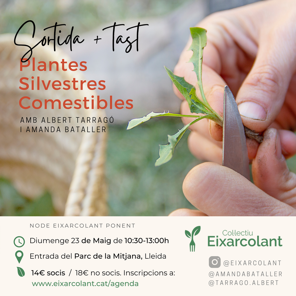 Trobada Plantes Silvestres Comestibles d'Eixarcolant
