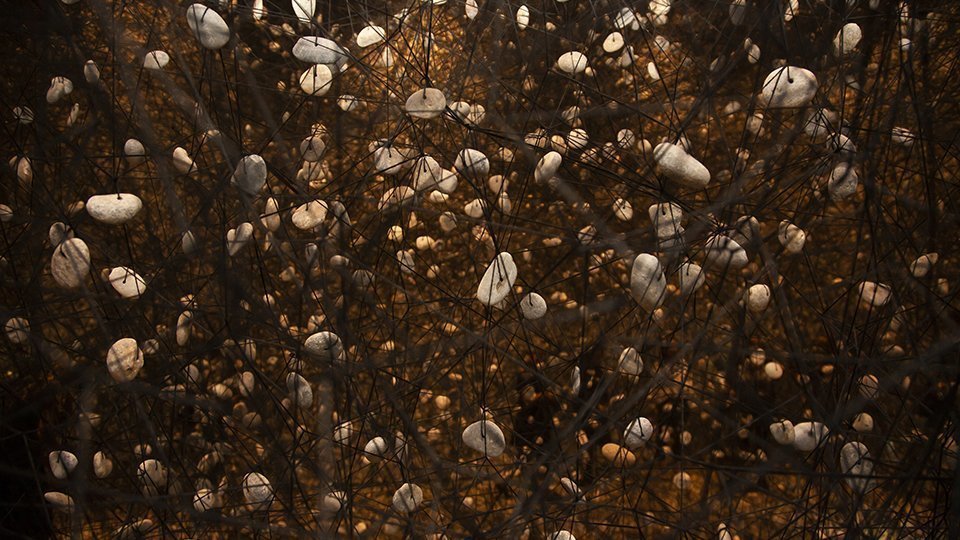 Chiharu Shiota - Planta 10