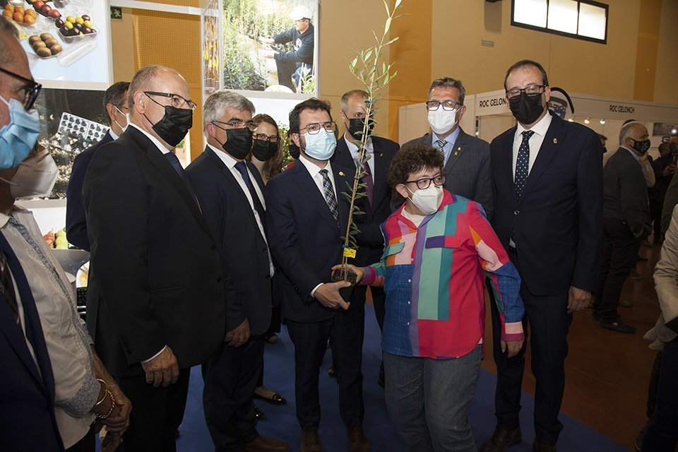 ACUDAM obsequia el president Aragonès una olivera solidària @JosepA.Pérez