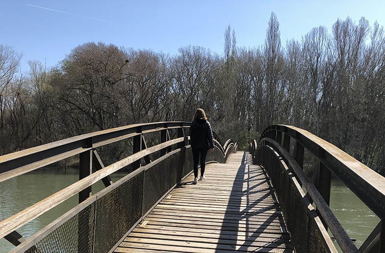 Pont de La Mitjana on va desaparèixer el jove  @JosepA.Pérez
