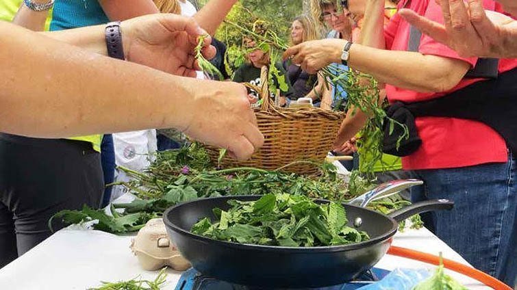 Eixarcolant, recuperació de plantes  i llavors