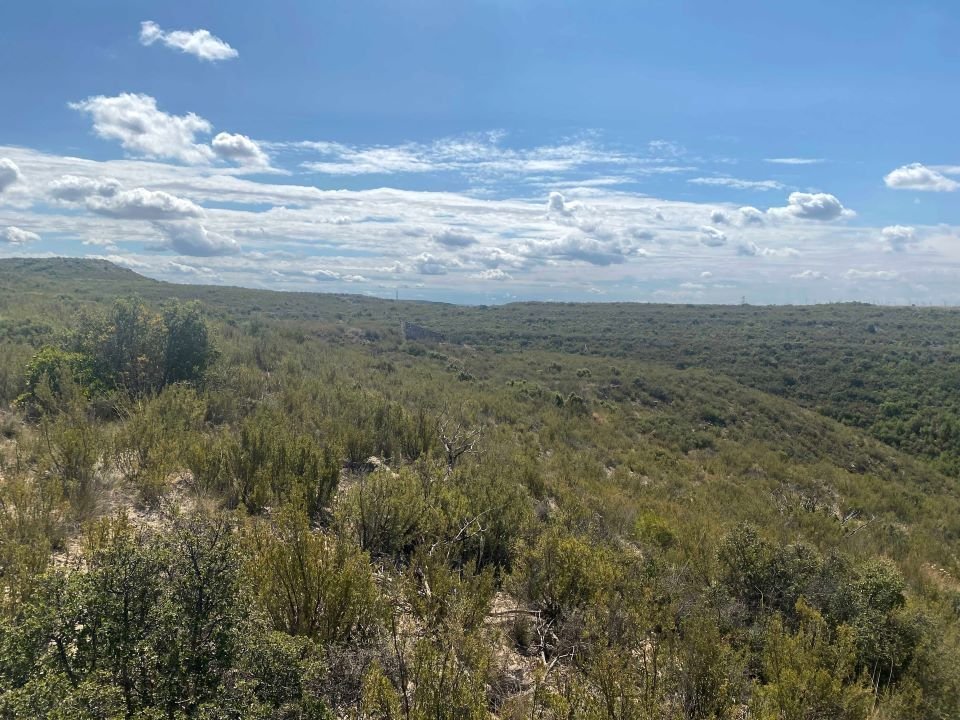 La ubicació de la futura estació sísmica al terme de la Granja d'Escarp -  Foto: cedida per l'Ajuntament de la Granja d'Esccarp