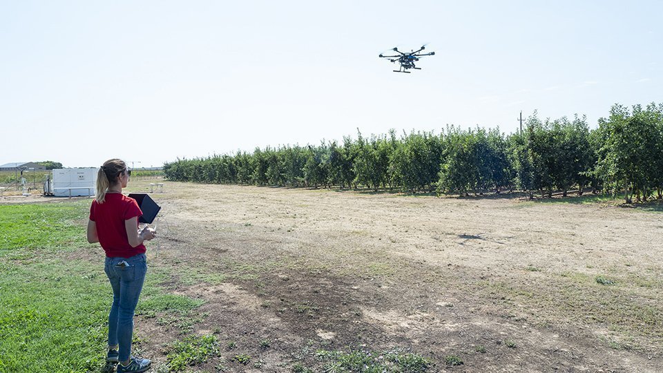 Un dron sobrevola una finca a l'estació experimental de l'IRA al Pla d'Urgell @JosepA.PérezRTA Mollerussa 4