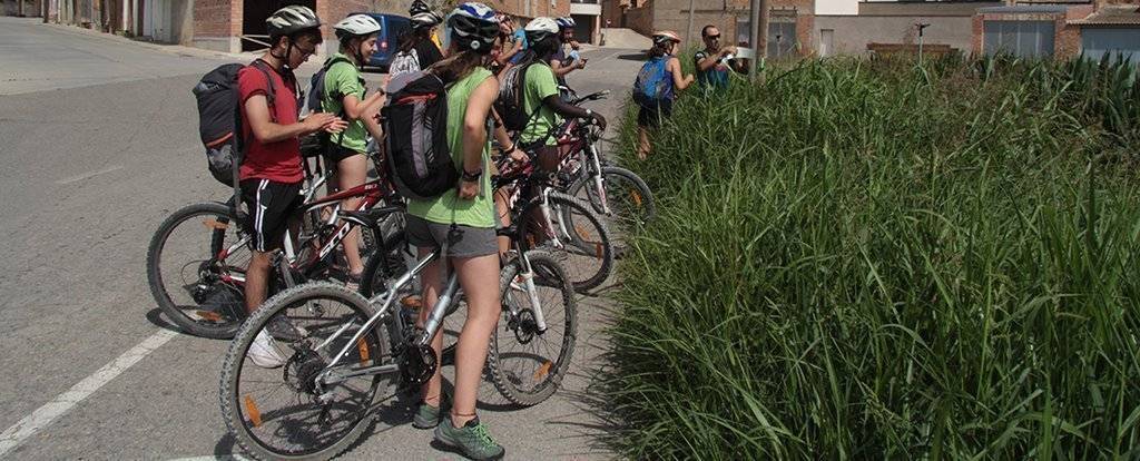 Camp de treball de la Ruta Cabanera Linyola @JosepA.Pérez