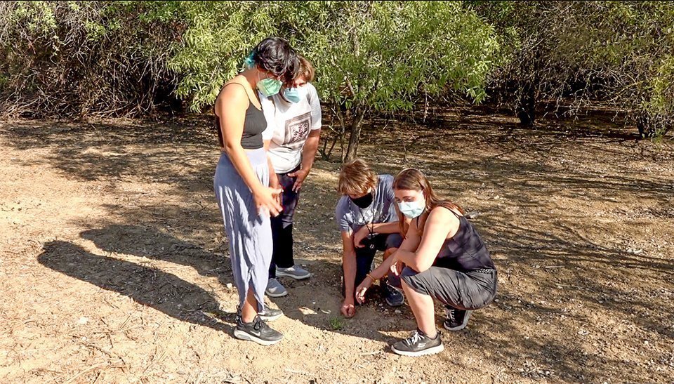 Camp de treball Estany d'Ivars i Vila-san, els joves observen les herbes aromàtiques plantades a la finca