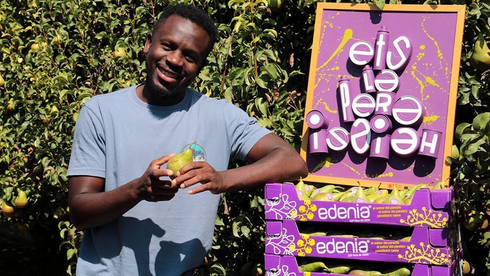 Kelly Isaiah collint peres Conference en una finca de Corbins @SalvadorMiret