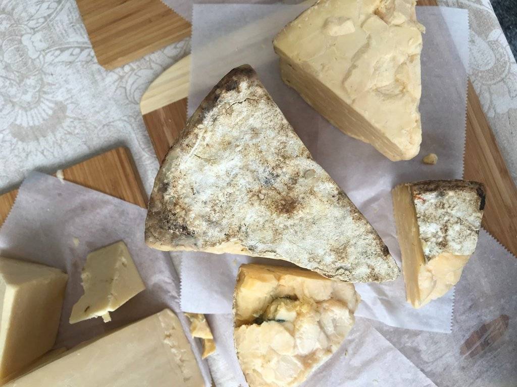 formatge gastronomia cuina - rebecca orlov (unsplash)