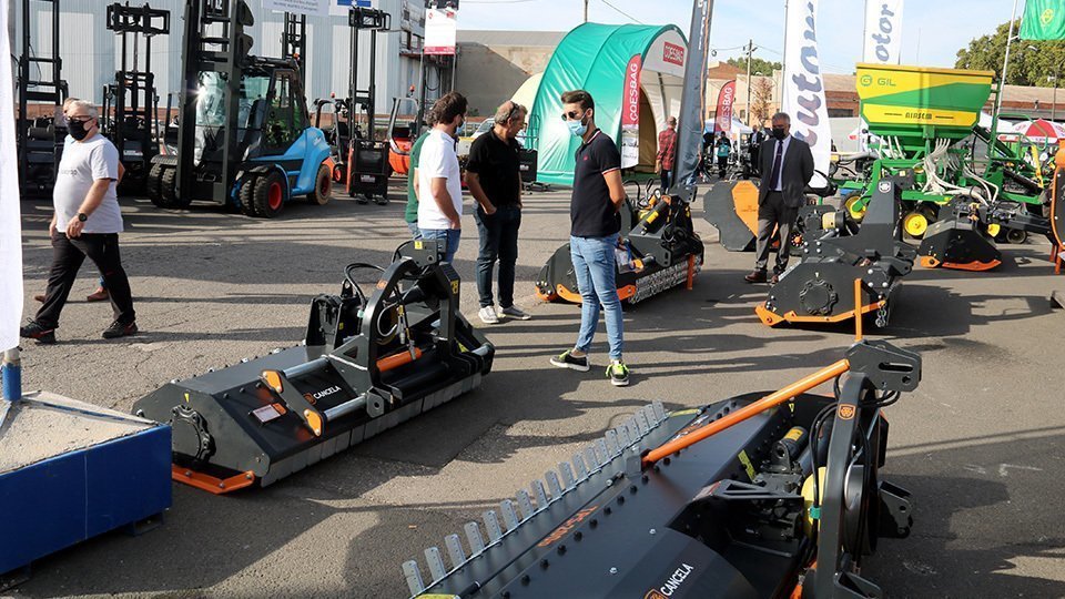 Visitants passejant per la Fira de Sant Miquel
