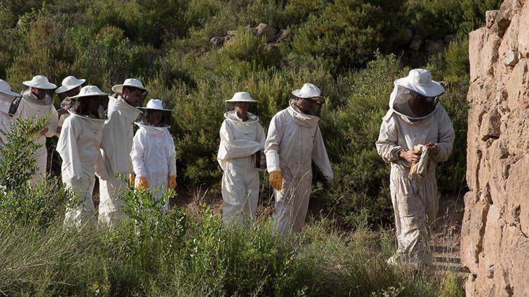 Benvinguts a pagès La Festa