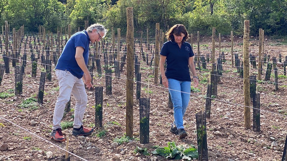 Cal Mandrat de Montellà i Martinet Francesc Xavier Güell i Silvia Gaminde @AlbertLijarcio
