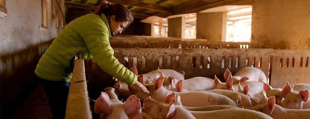 Dones en el món rural @UnióPagesos