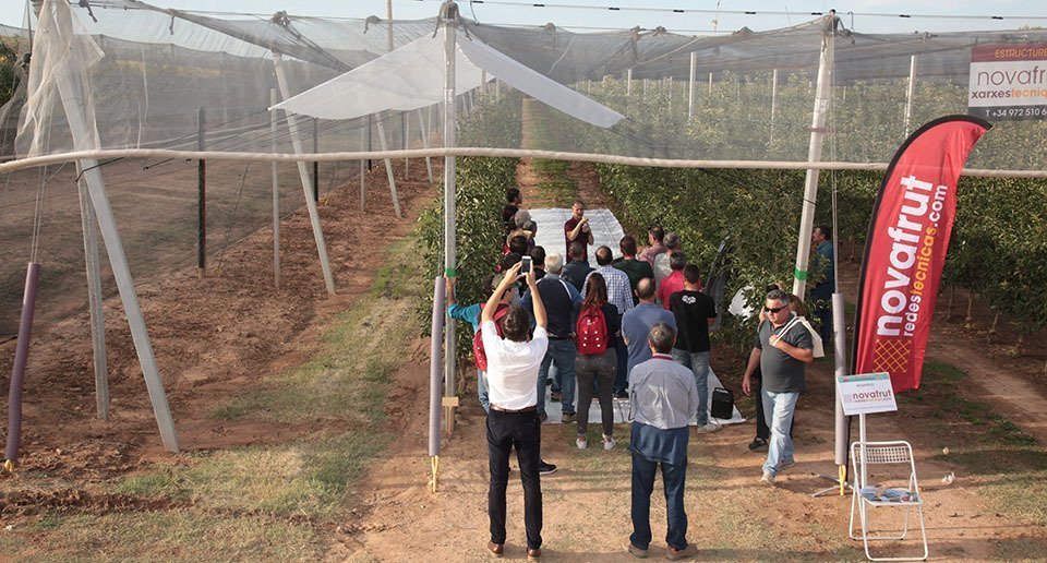 Jornades Fructicoles IRTA (9)