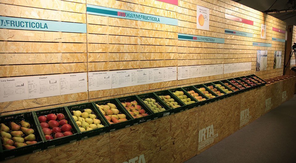 Jornades Fructicoles IRTA (4)