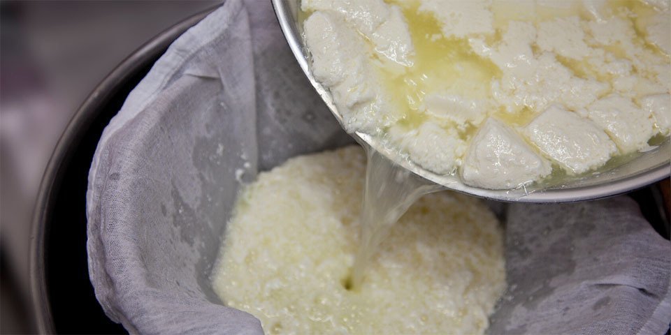 El xerigot o sèrum de la llet és un subproducte que s’obté de la fabricació de derivats lactis com el formatge