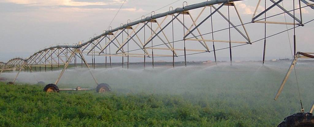 Sistemes de regadius al conreus de Catalunya ©EA