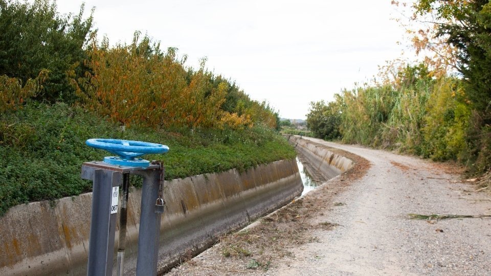 Sequia a la partida Boixadors. Fotografia: Josep Anton Pérez.