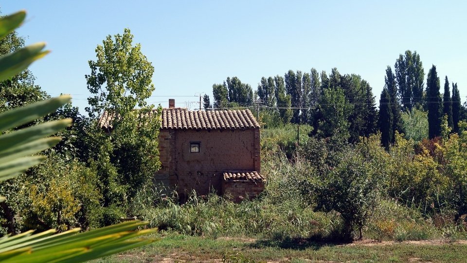 Torre tradicional de l'Horta de Lleida. Fotografia: Cristina Mongay.