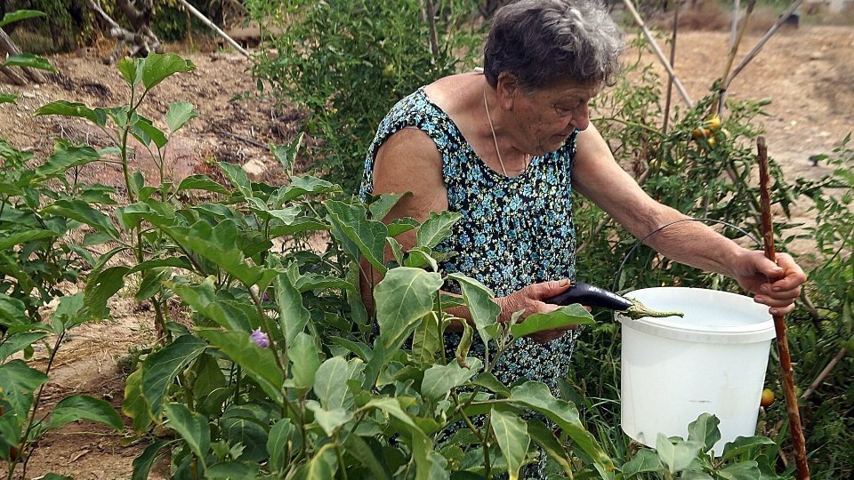 Rosa Batlle. Fotografia: Cristina Mongay.