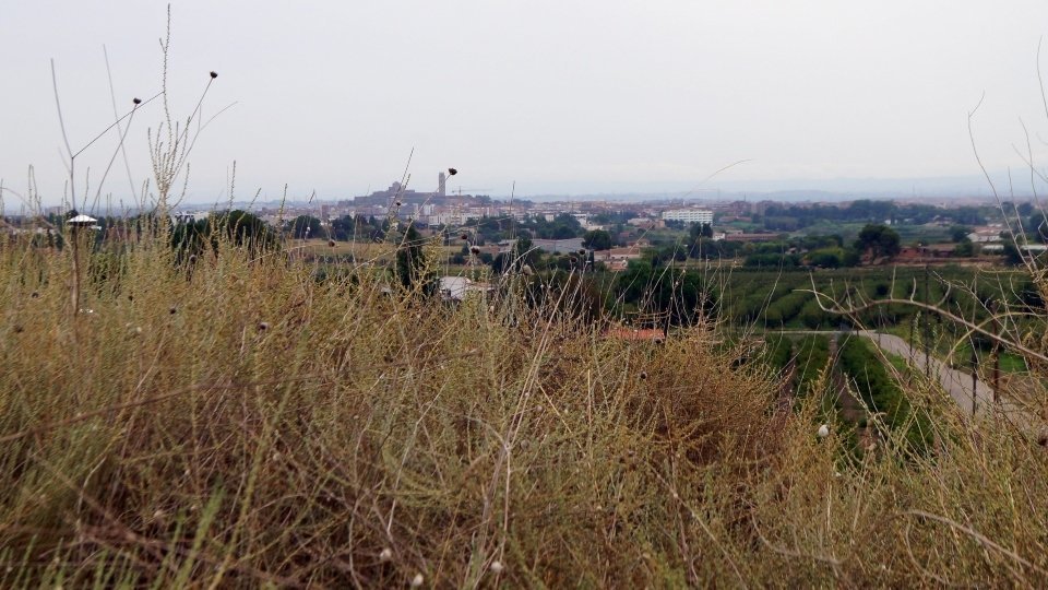 Lleida des de Fontanet lo Curt. Fotografia: Cristina Mongay.