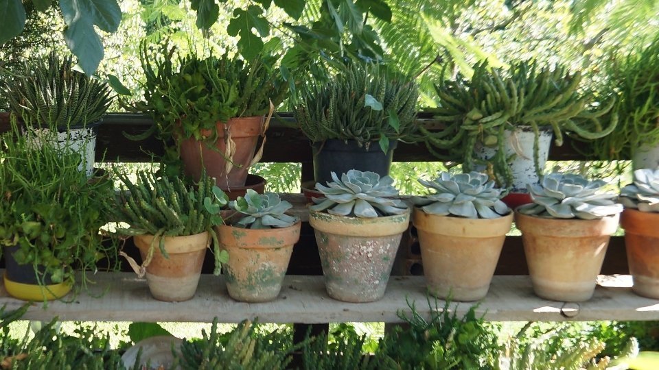 Mariola. Fotografia: Cristina Mongay.