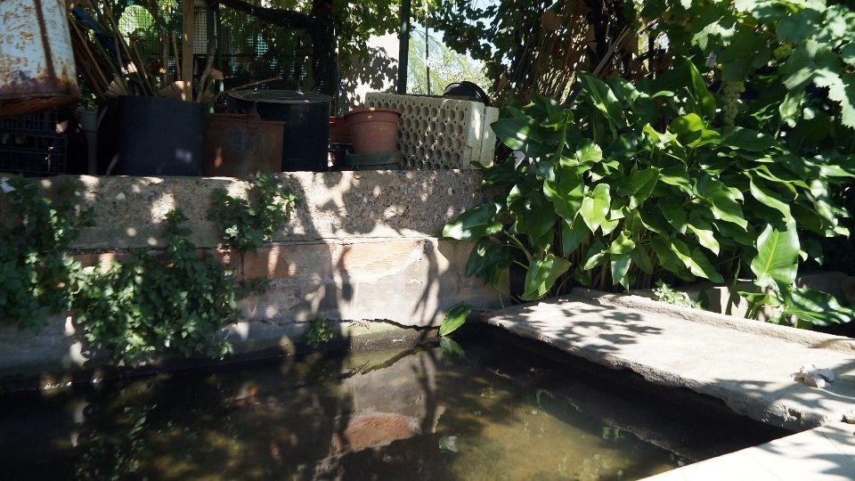 Antic safareig de l'Horta. Fotografia: Cristina Mongay.