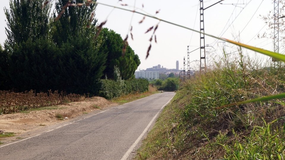 Lleida des del Camí de Vallcalent. Fotografia: Cristina Mongay.