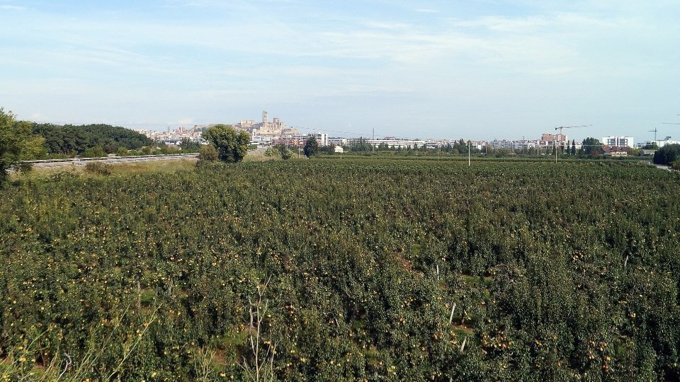Lleida des de la partida de Copa d'Or. Fotografia: Cristina Mongay.
