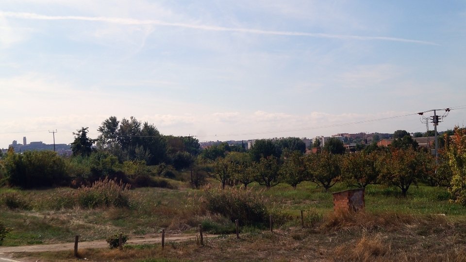 Lleida des de la partida de Marimunt. Fotografia: Cristina Mongay.