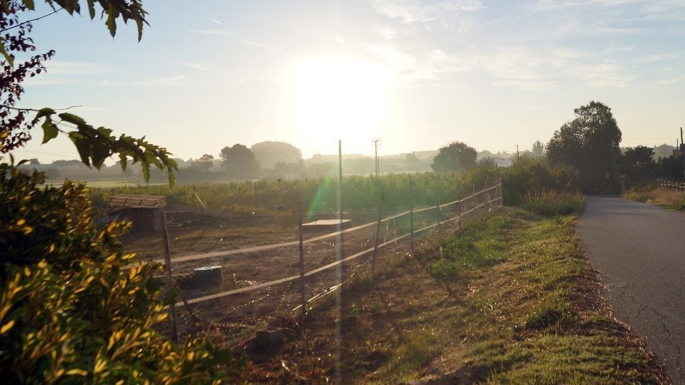 Sortida del sol des del Camí de Montcada. Fotografia: Cristina Mongay.